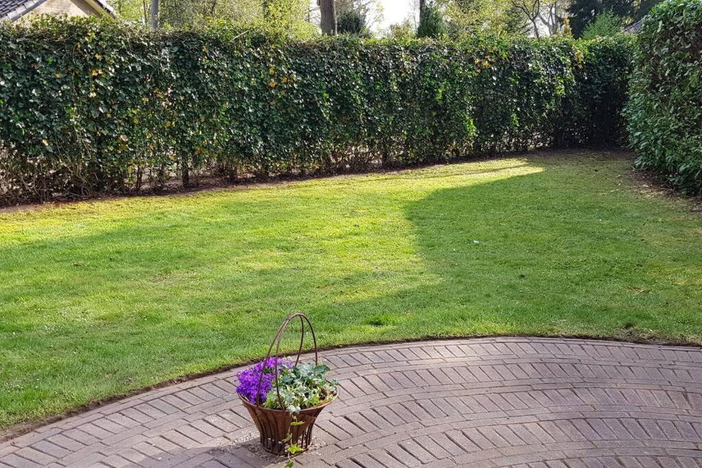 4-6 Persoons Vakantiewoning Met Eigen Tuin Villa Bakkeveen Exteriör bild